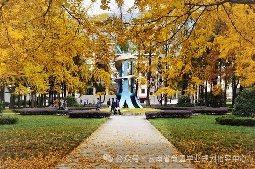 成都科技大学2020录取分数_成都科技大学高考分数线_2024年电子科技大学成都学院录取分数线(2024各省份录取分数线及位次排名)