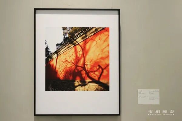 「宝相穆泉——穆泉摄影作品回顾展」于北京798开幕（图24）