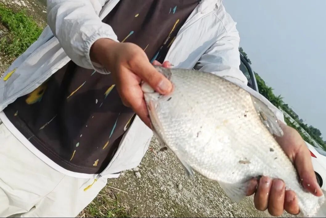 汉印人文 | 垂钓友谊比赛(图16)