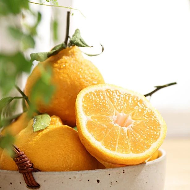 柠檬不知火 | 丑橘家族中的“王炸”，这一口脆嫩鲜爽赢过所有柑橘，口口惊艳！