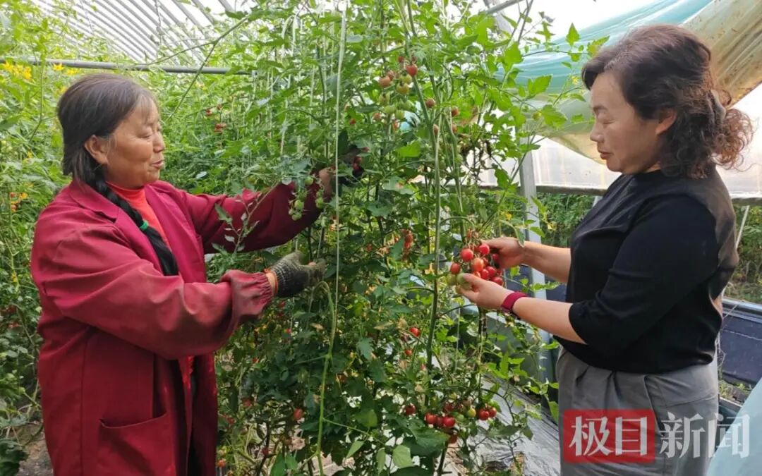 微信图片_20260429173420_20_2228.jpg