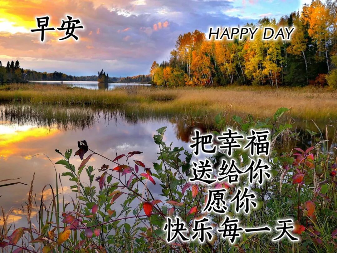 冬日唯美句子简短 唯美冬天祝福语图片大全 冷冷冬天早上好祝福语带