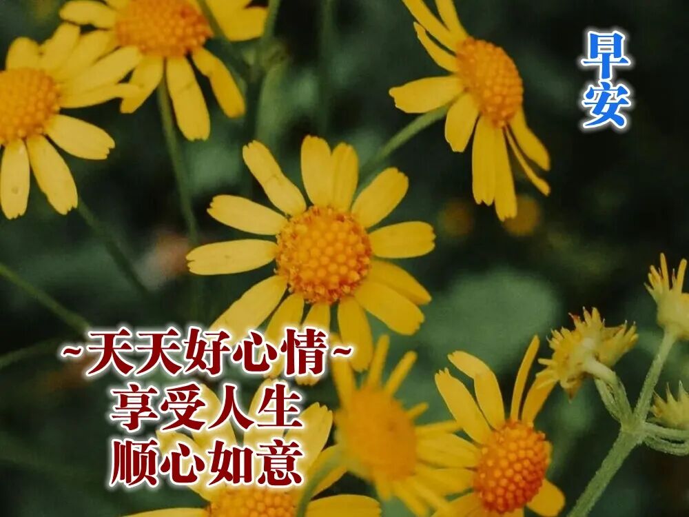 唯美冬天祝福语图片大全 冷冷冬天早上好祝福语带图片 早晨问候唯
