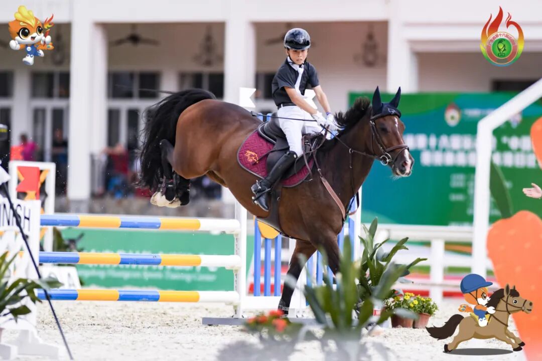 第16届省运会马术项目圆满结束惠州队收获6金成大赢家