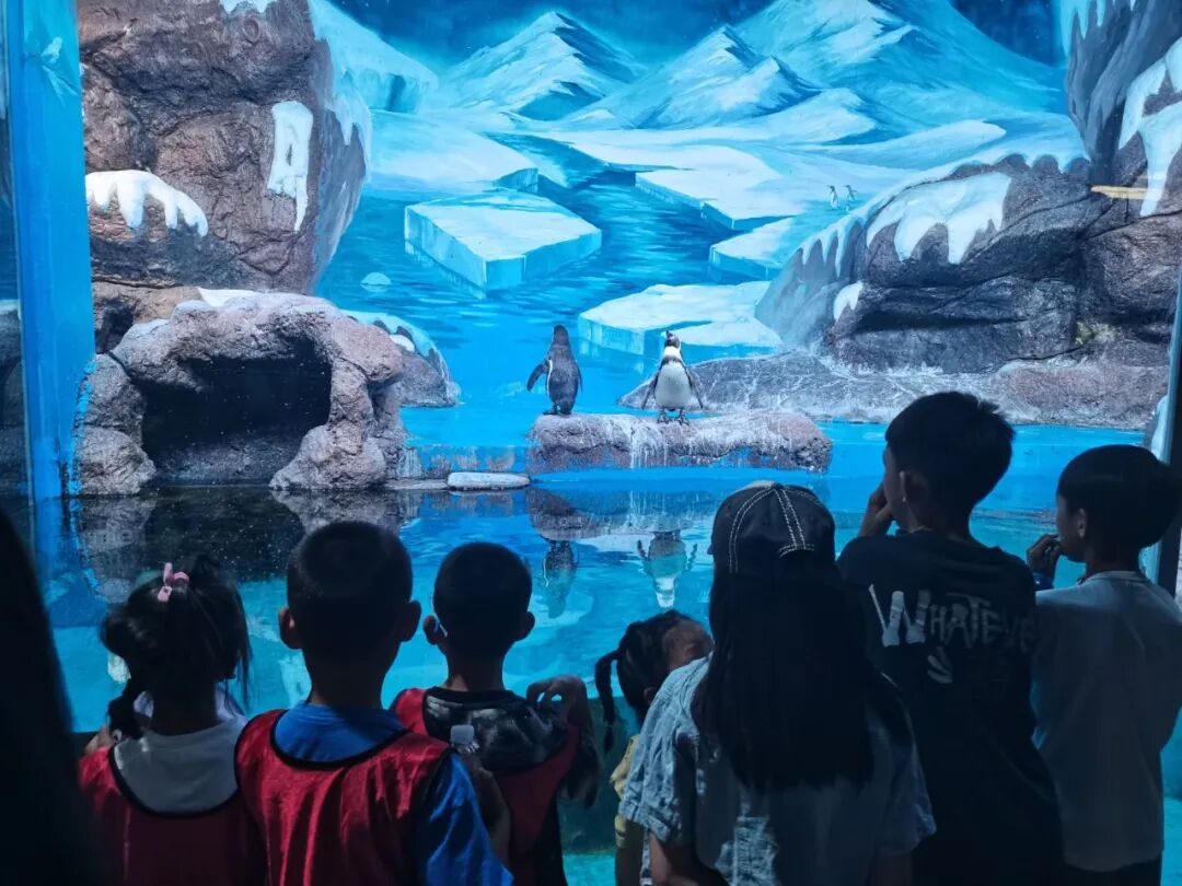 美丽邢台:邢台加快建设泉城特色旅游城市