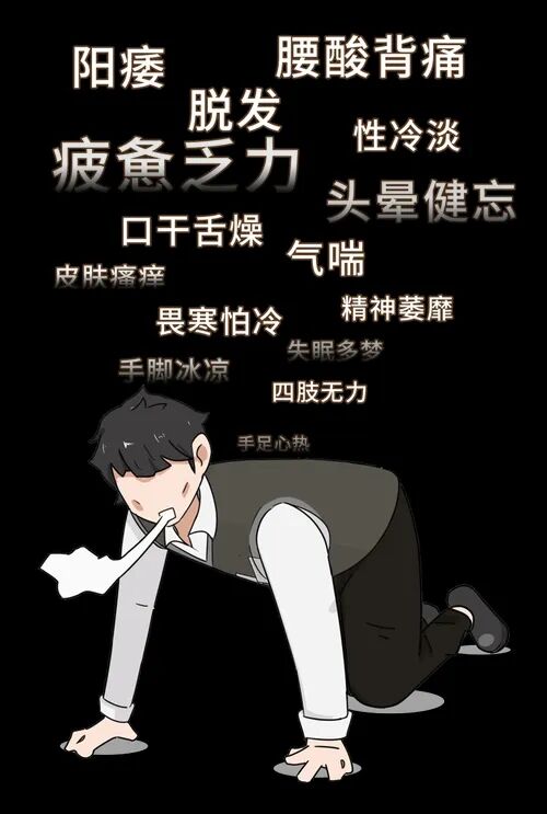 肾阴虚、肾阳虚、肾气虚、肾精亏虚如何区分？分别如何调理？