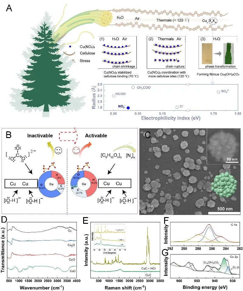 國儀電鏡揭示Cu-C納米球結構，助力優化廢水處理失活難題