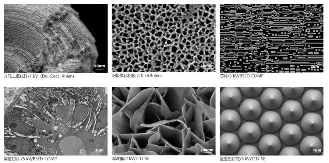 2024量子精密測量賦能產(chǎn)業(yè)發(fā)展大會(huì )誠邀參會(huì )！5月21日，第三屆量子科儀節與您合肥相約