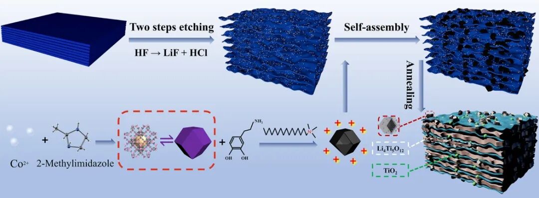 國儀量子掃描電鏡助力MXene基吸波材料實現低填充薄厚度寬帶高性能微波吸收
