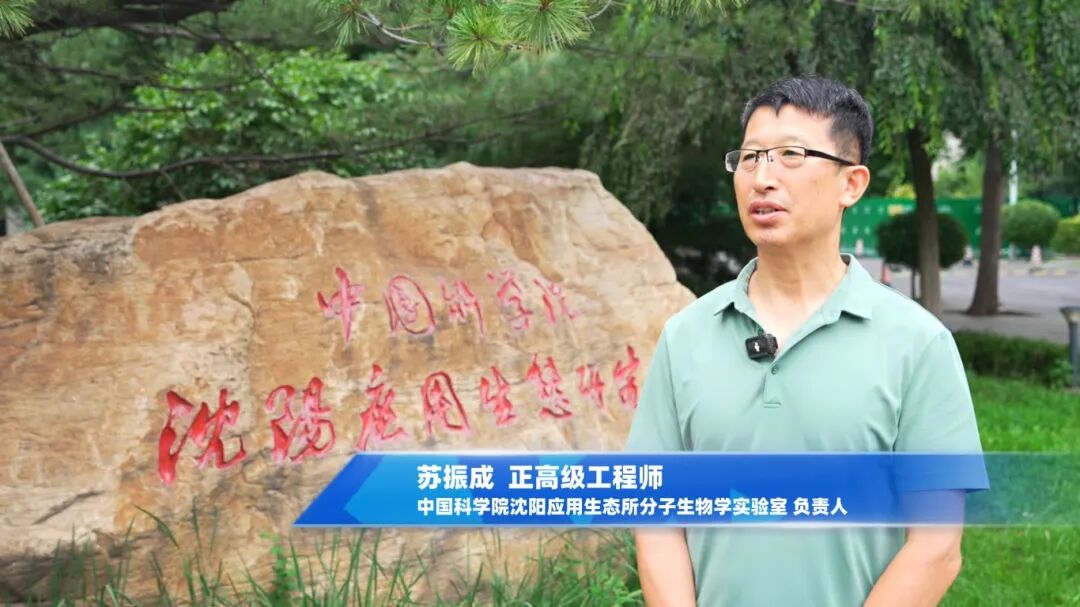 中科院沈陽生態(tài)所攜手國儀量子 打造國產(chǎn)電鏡在生物領(lǐng)域的示范應(yīng)用