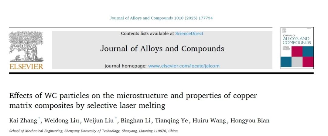 國儀電鏡助力，沈陽(yáng)工業(yè)大學(xué)張凱教授團隊取得多項材料科學(xué)研究突破