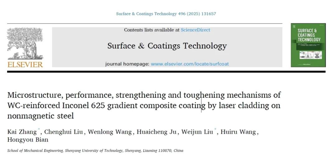 國儀電鏡助力，沈陽(yáng)工業(yè)大學(xué)張凱教授團隊取得多項材料科學(xué)研究突破