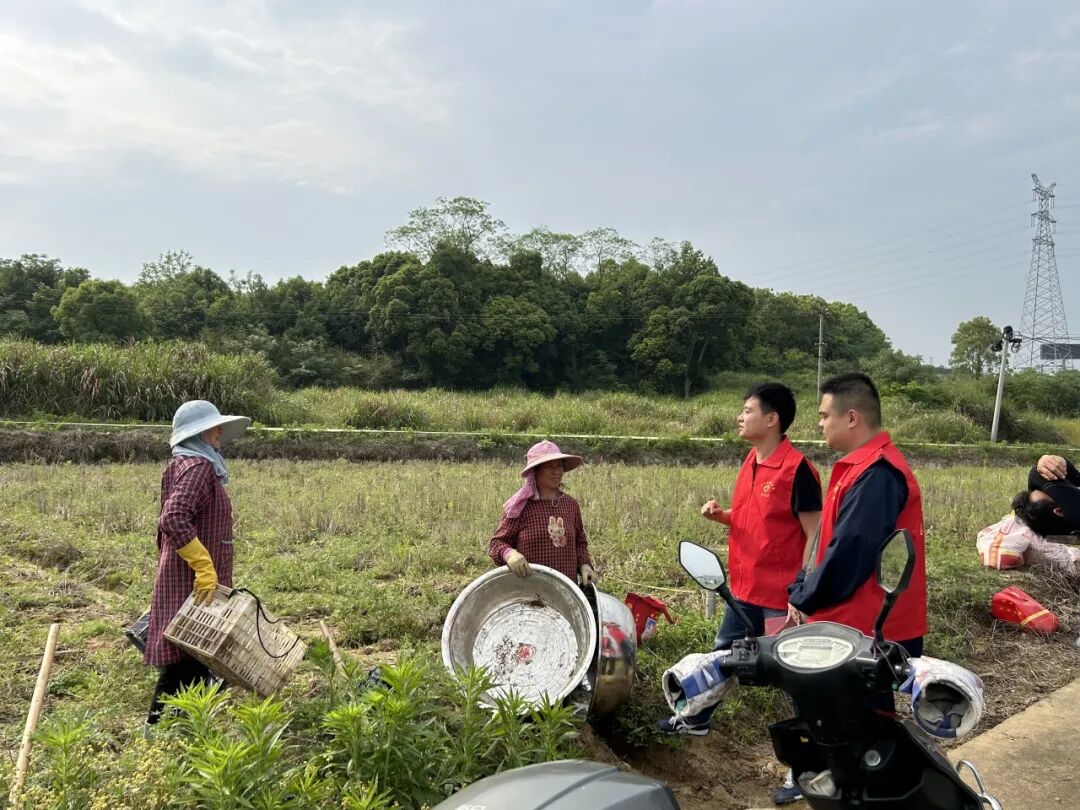 鸣山乡:界牌村多措并举筑牢农村交通安全防线
