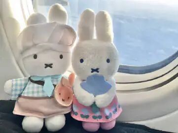 ipad电脑壁纸丨世界盛大且灿烂