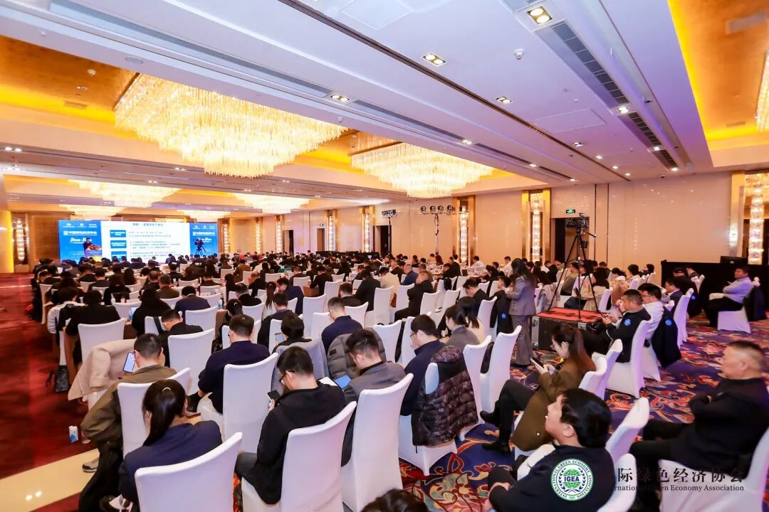 2_1600_3000_gif (7).jpg