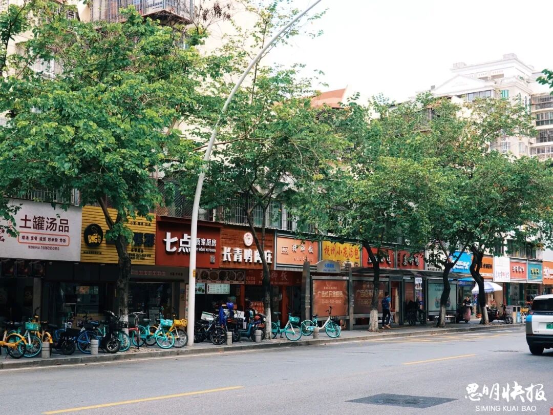 厦门地名｜走！一起漫步长青路，看一路常青