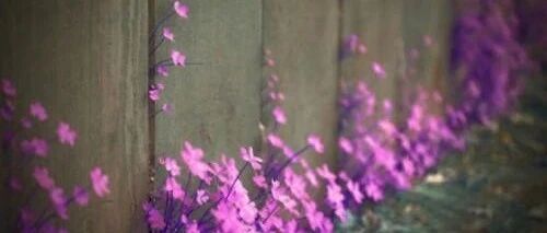 肝硬化血小板降低和凝血功能差的关系？