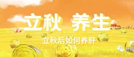 立秋后如何养肝
