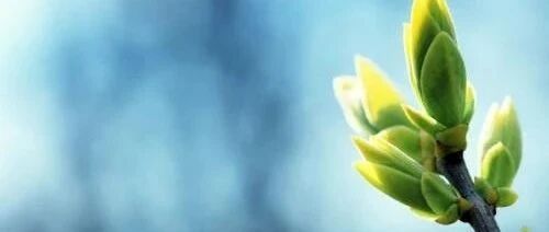 肝硬化患者的日常饮食保健要点