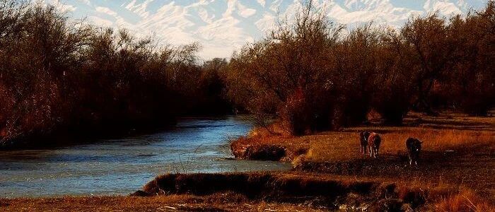 乙肝病毒会引发哪些疾病，会带来5大影响！