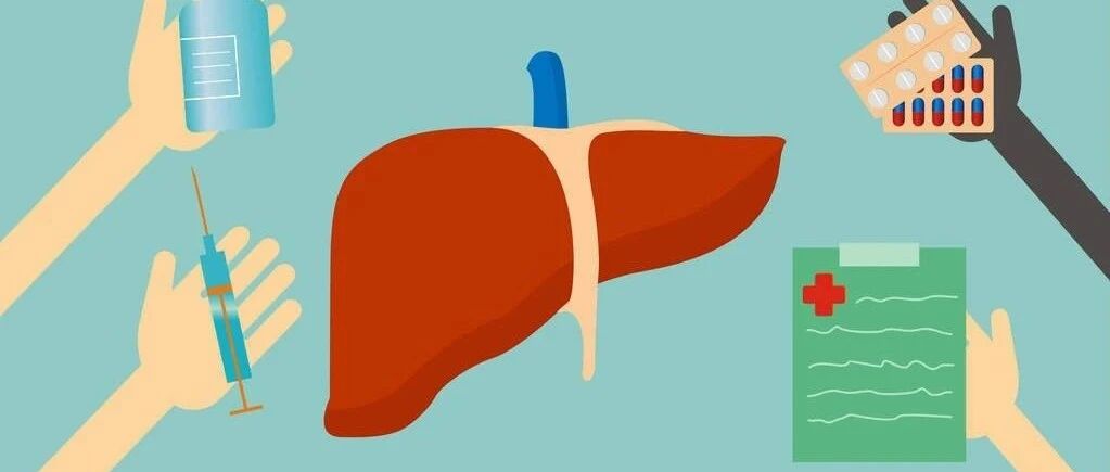 肝为将军之官，肝脏受损对人体有何影响?关于肝脏你知道多少?