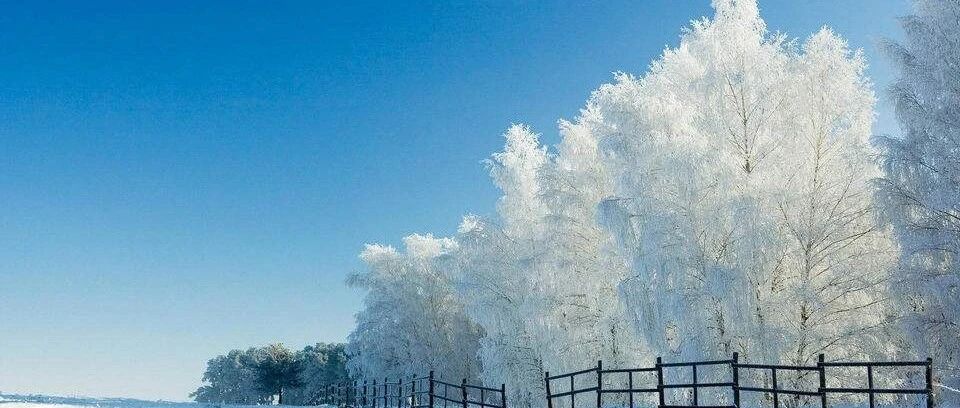 肝硬化患者做家庭护理 定期补蛋白质有助病情恢复