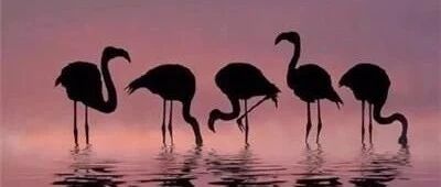 肝硬化早期到晚期发展病程有多长 及时治疗是关键