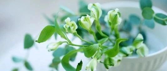 容易疲劳的人肝不好，一个简单小动作，最养肝！