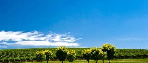 乙肝大三阳的传染强，造成的危害不可轻视！