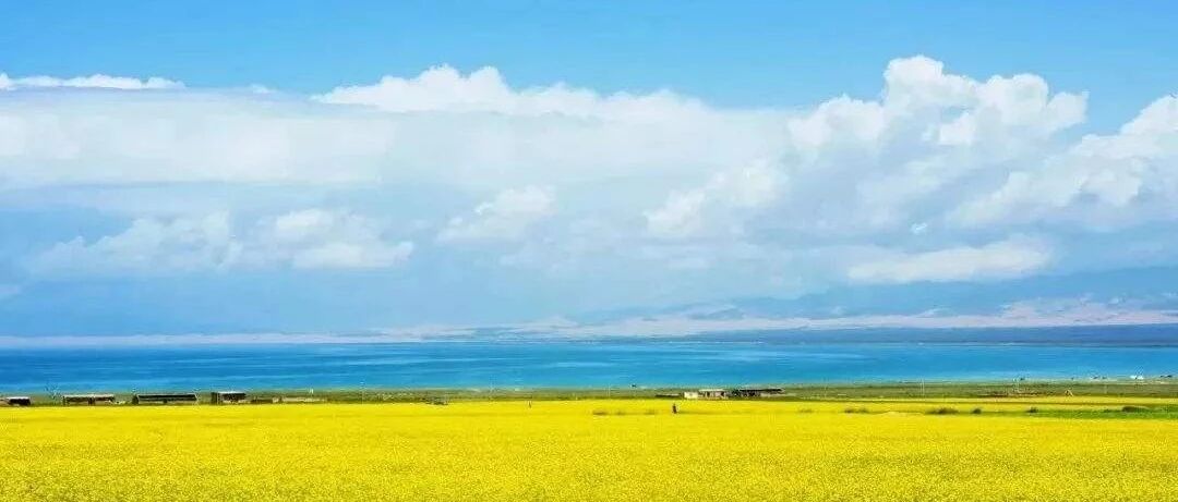 为什么肝会“硬化”，是怎么形成的