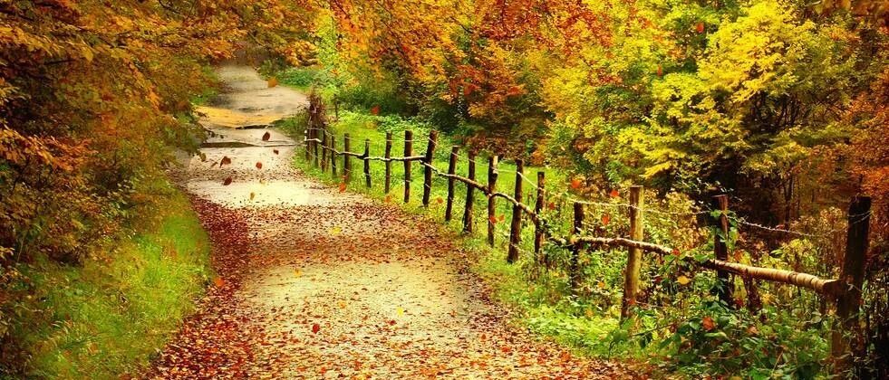 6大治疗乙肝误区，你中了几个?