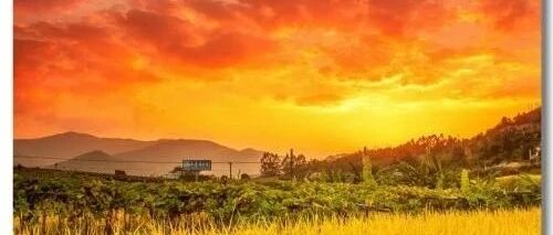 肝病患者的6大生活禁忌，一定要避开！