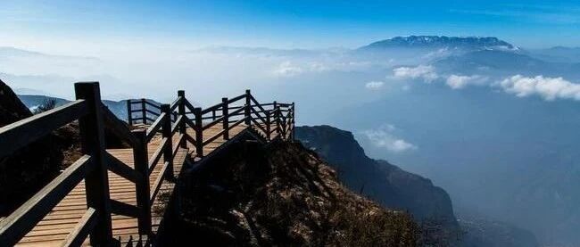 肝硬化患者一定要警惕食管胃底静脉曲张