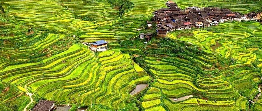 肝胆一体，胆红素升高是对肝病有什么预示吗