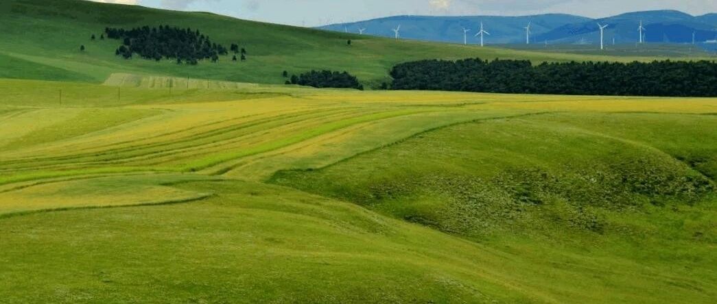 肝硬化肝性脑病（肝昏迷）患者怎样合理膳食?
