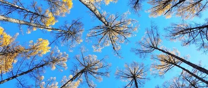 造成乙肝小三阳久治不愈的原因都有哪些？