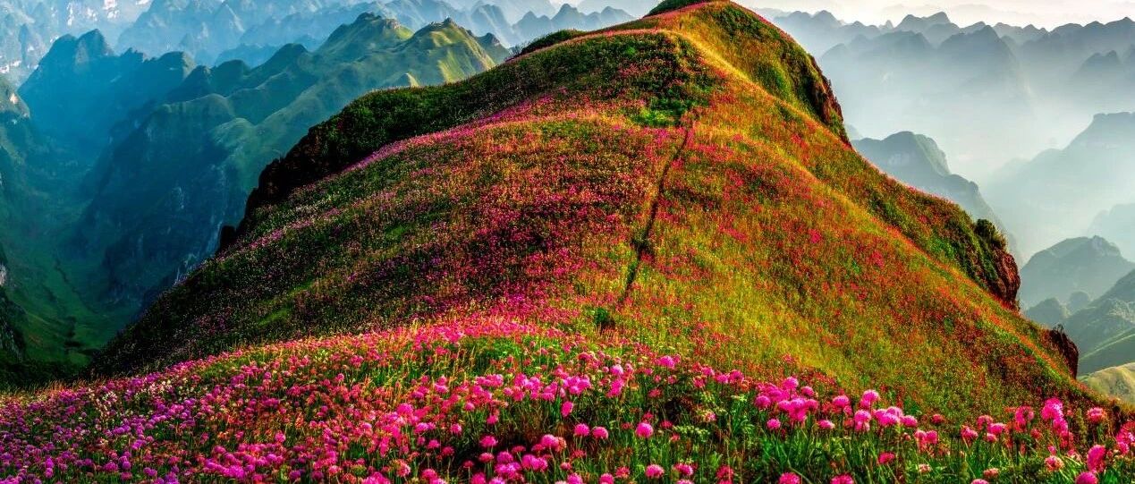 我乙肝家族史，但我打过疫苗，为什么现在还往肝硬化的方向发展了