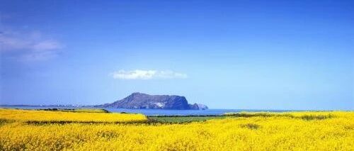 乙肝病毒感染者，每年两次必查的七大项目