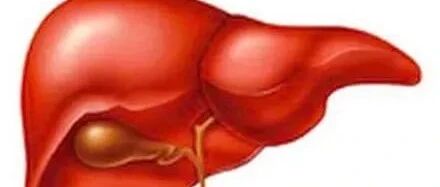 肝癌早期这些表现，抓得住，才能赢得时间（河北省红十字基金会医院科普）