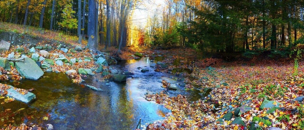 肝病肋骨疼痛是怎样引起的？