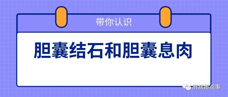 胆囊结石和胆囊息肉是什么，带你认识它们