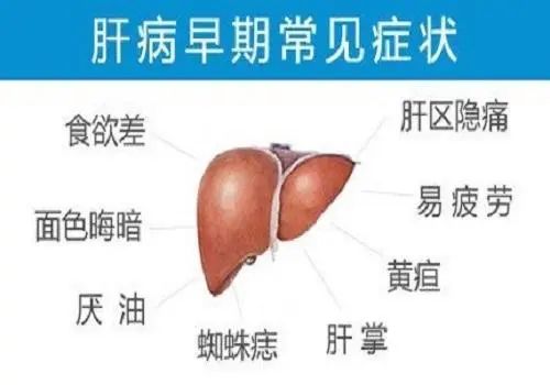 肝病早期症狀可表現在皮膚上？ 健康 第3張