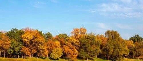 治疗乙肝小三阳的方法有哪些？