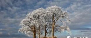 牙龈或鼻出血与肝炎病情有关系吗?