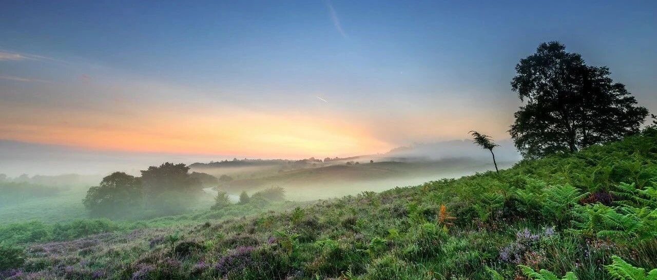 鳖甲治疗肝硬化的功效明显吗？