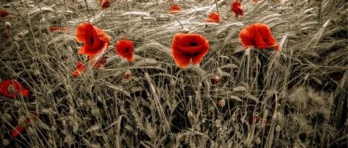 肝病擅自停药的危害大，病情一旦反弹将更加棘手