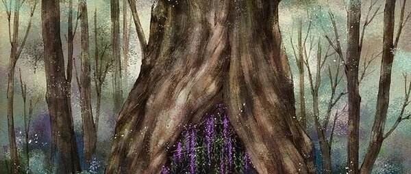 胆汁性肝硬化患者的检查方法有哪些?