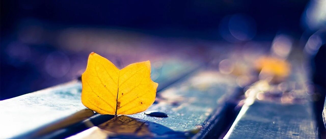 预防肝癌的四个建议