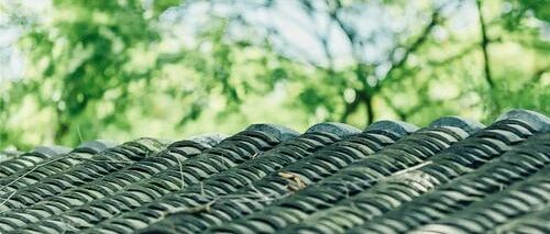 夏未尽·秋已至『立秋』气降暑未休 滋阴养肝莫悲秋！