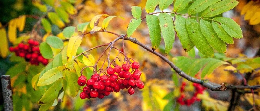 想要秋天少生病，多拍拍此处，预防大病小病！